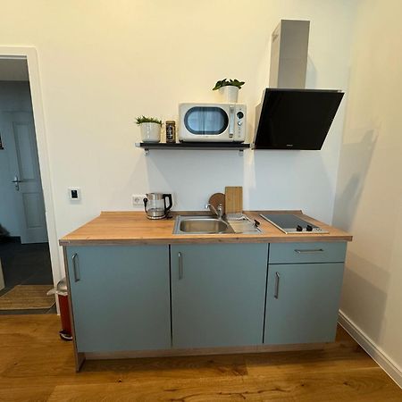 Boutique Hotel Pension Luisengruen Kueche 1Gbs Wlan Netflix Disney Magentatv Chemnitz Eksteriør bilde